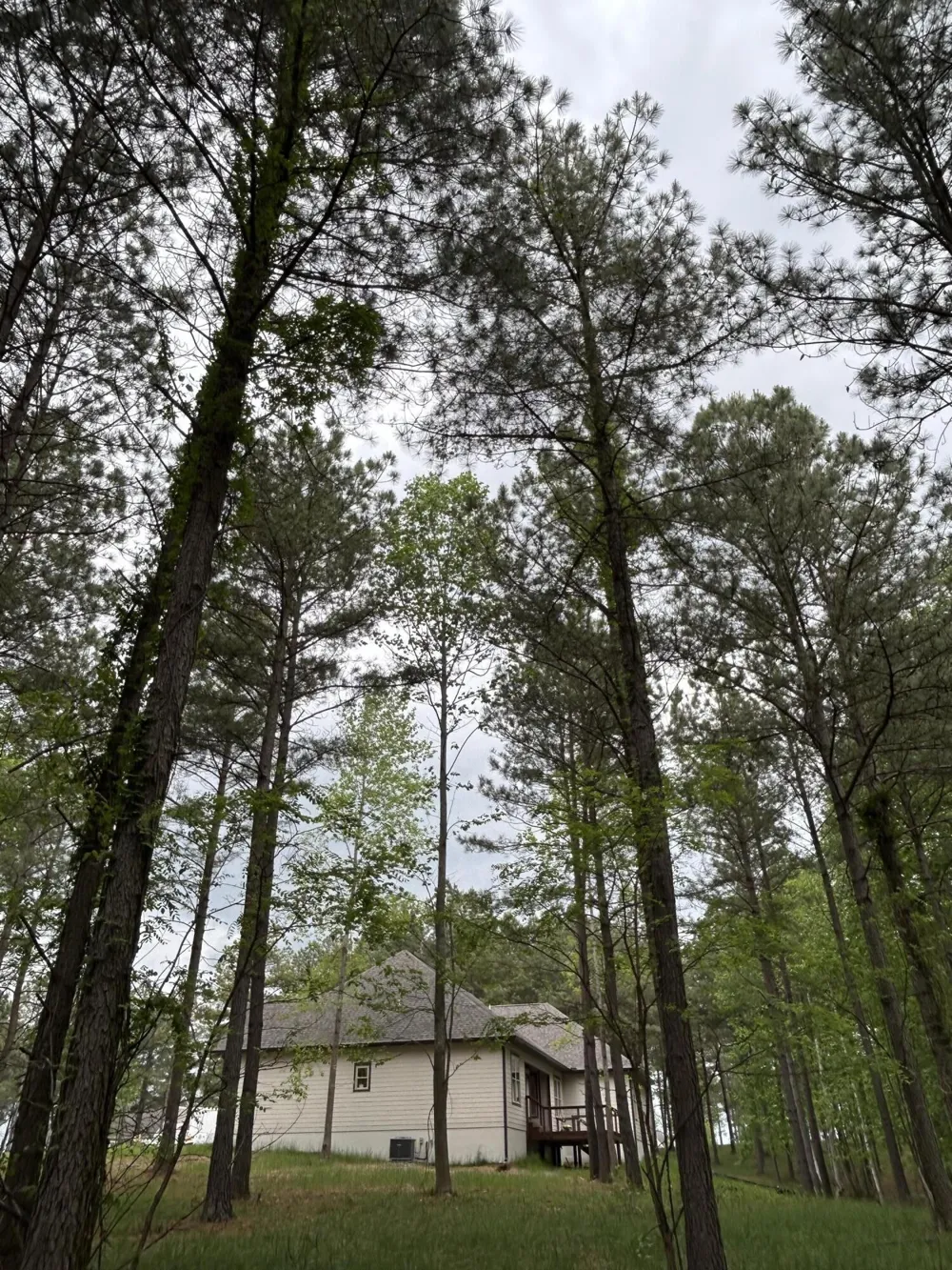 140 Foxtrot Lane Jasper, TN 37347