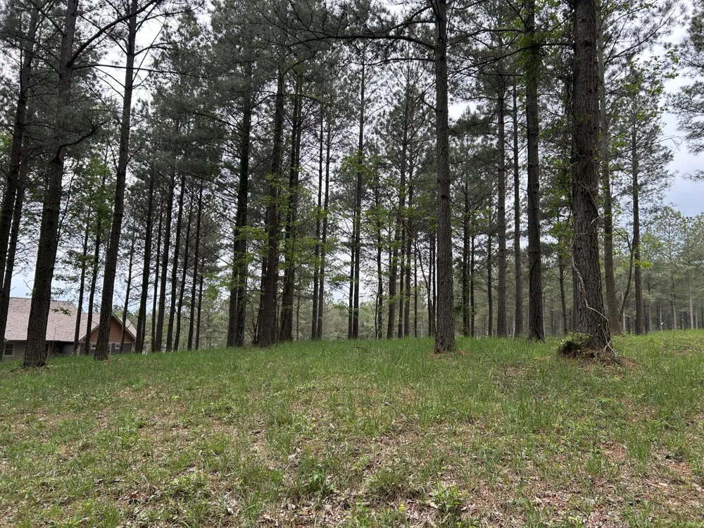 140 Foxtrot Lane Jasper, TN 37347