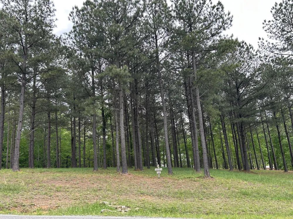 140 Foxtrot Lane Jasper, TN 37347