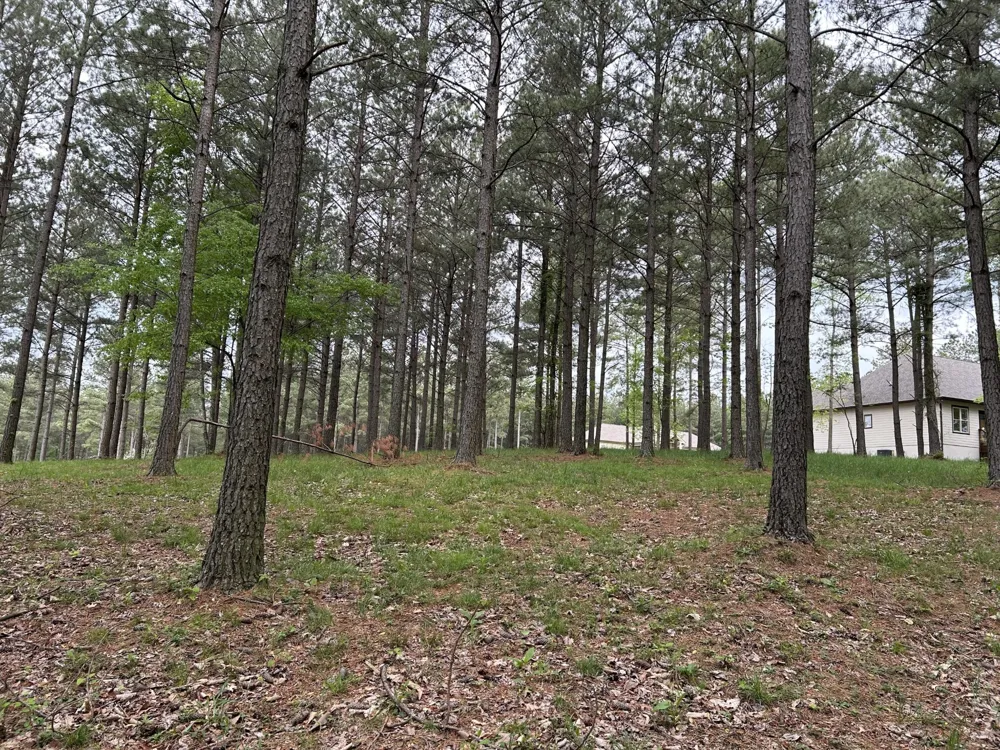 140 Foxtrot Lane Jasper, TN 37347