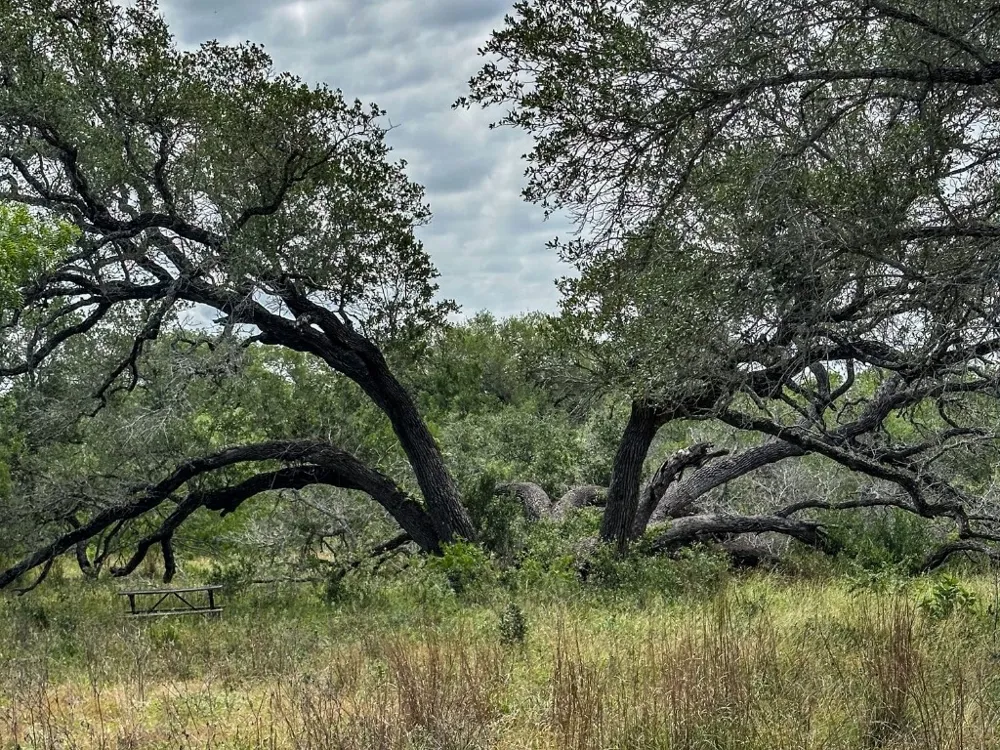 502 Robertson Road Smiley, TX 78159