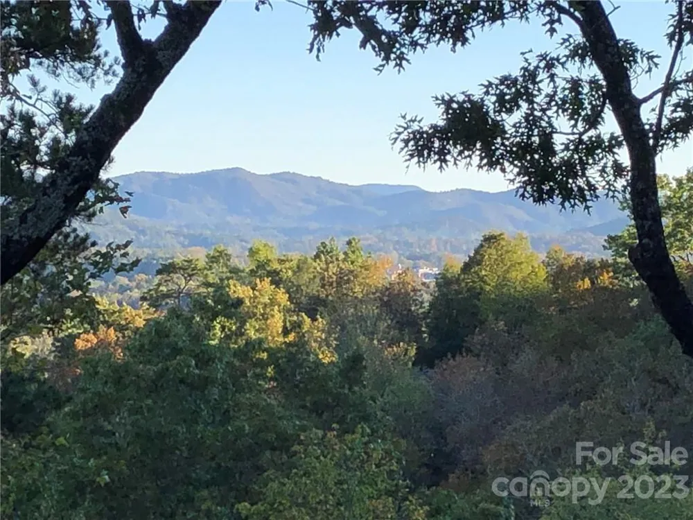 Lot M6 Pine Mountain Trail #M6 Brevard, NC 28712