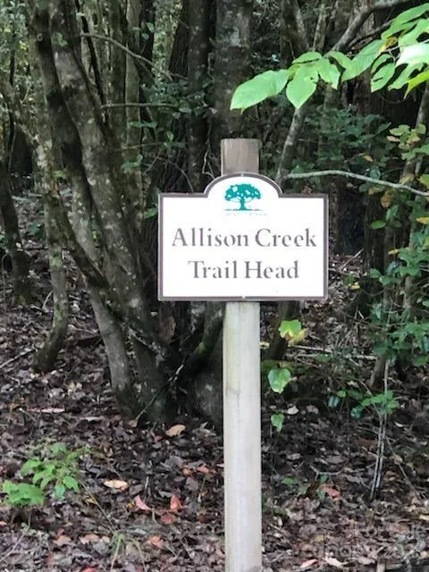 Lot M6 Pine Mountain Trail #M6 Brevard, NC 28712
