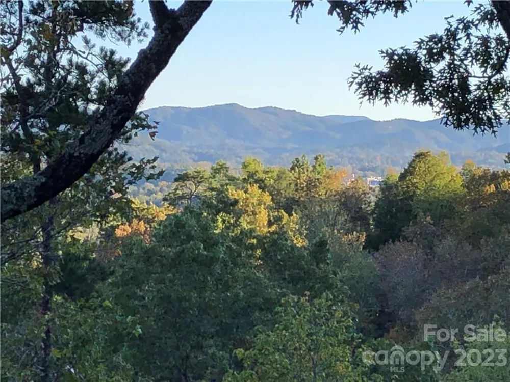 Lot M6 Pine Mountain Trail #M6 Brevard, NC 28712
