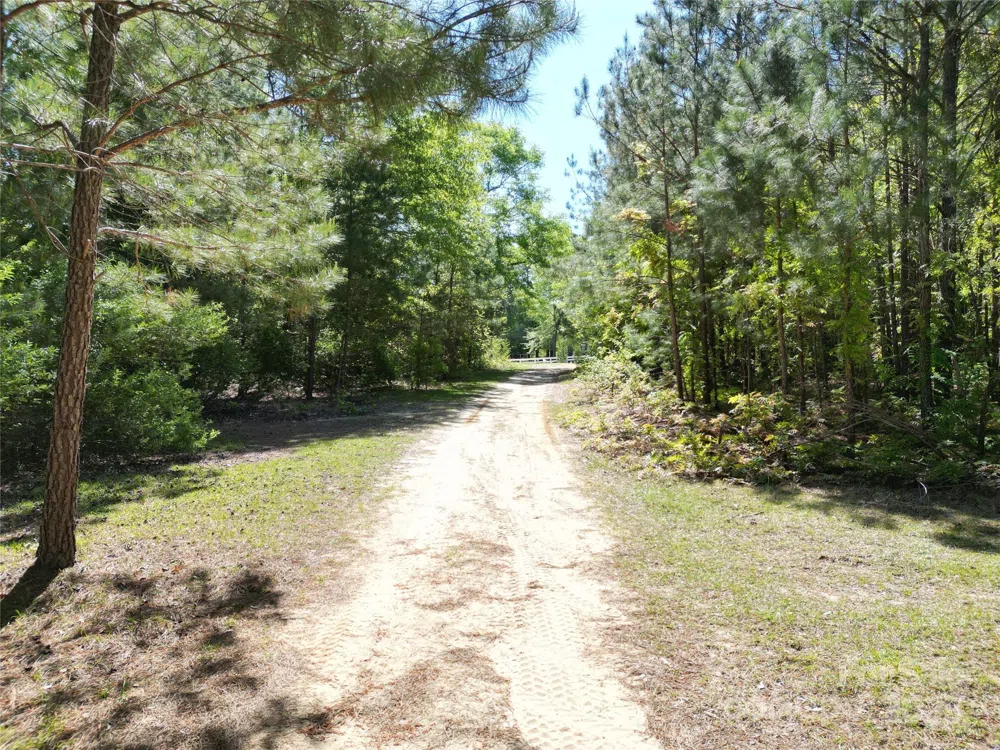 TBD Goldenrod Drive Carthage, NC 28327