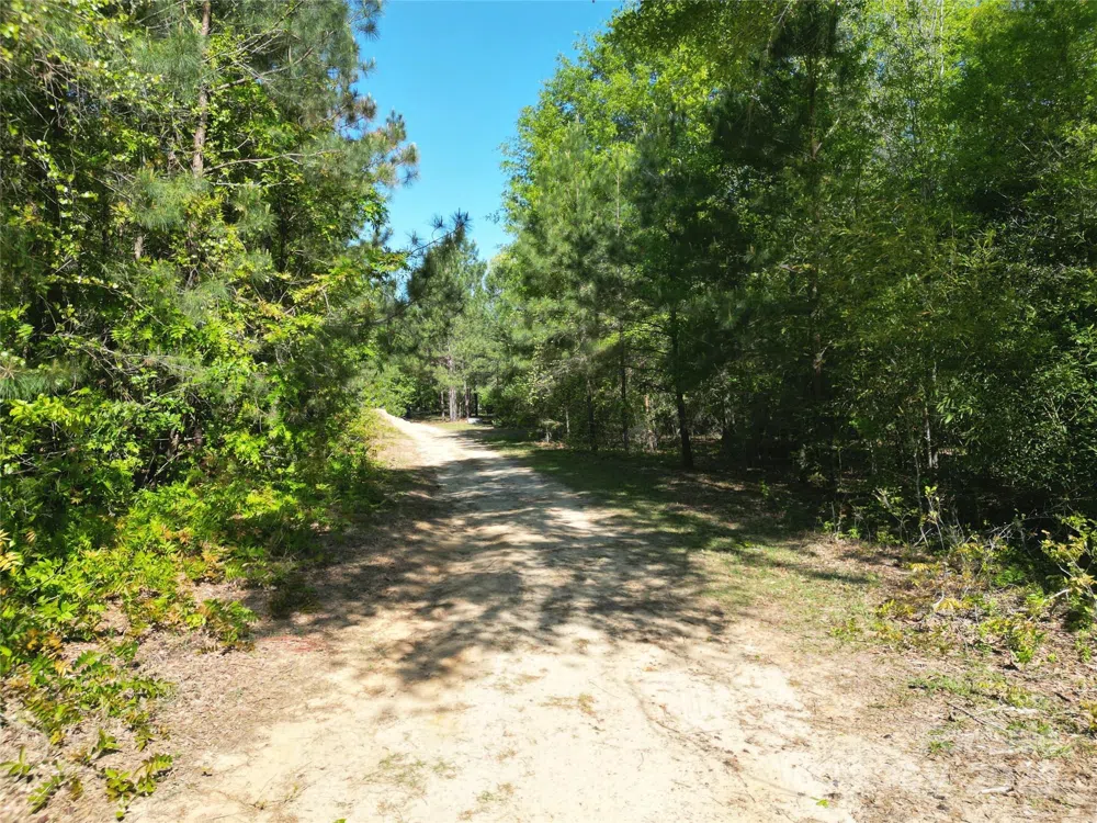 TBD Goldenrod Drive Carthage, NC 28327