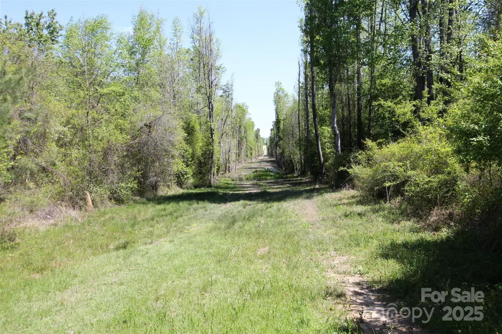 TBD Goldenrod Drive Carthage, NC 28327
