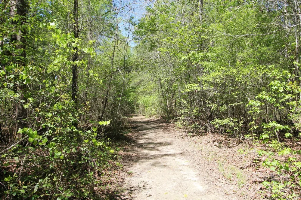 TBD Goldenrod Drive Carthage, NC 28327