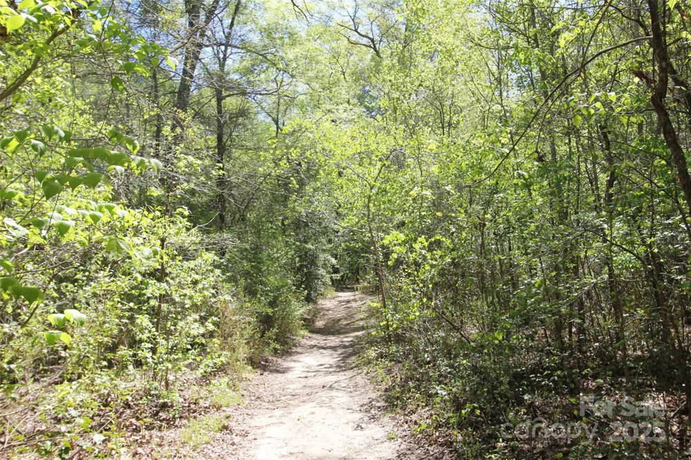TBD Goldenrod Drive Carthage, NC 28327