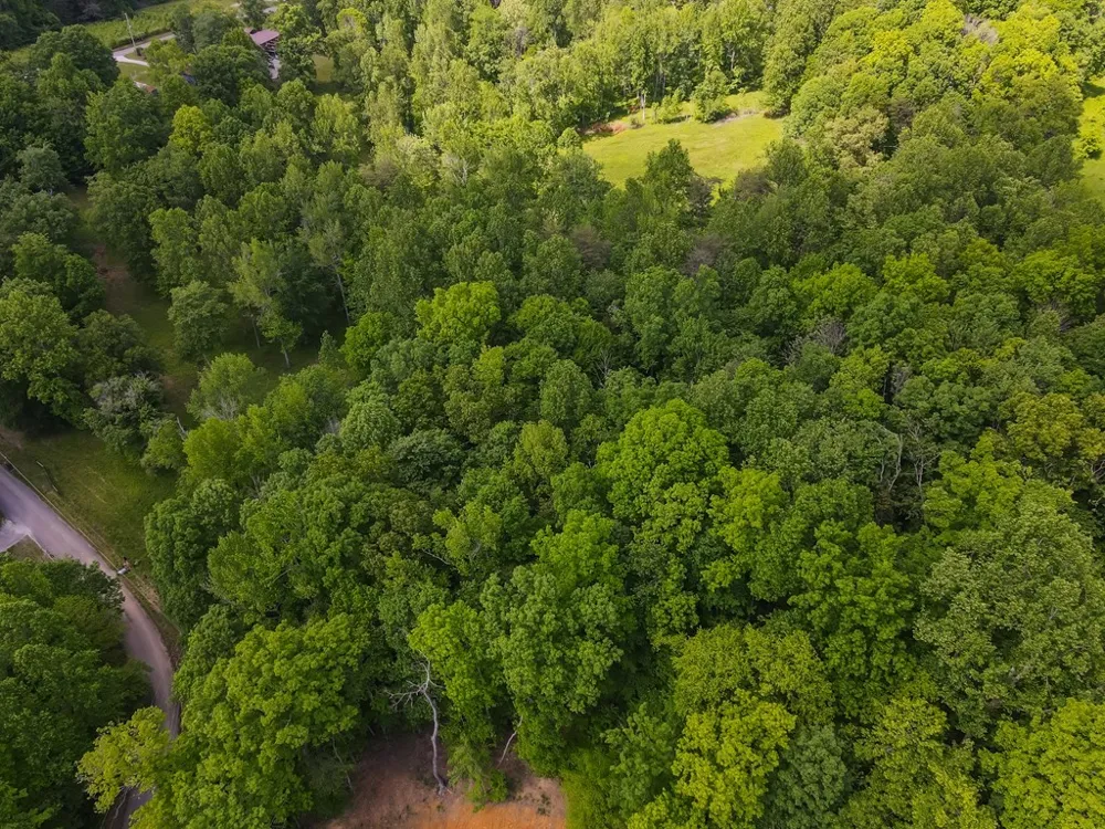 5757 Emerald Rd Cookeville, TN 38501