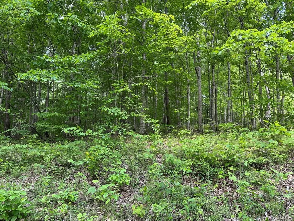 5757 Emerald Rd Cookeville, TN 38501