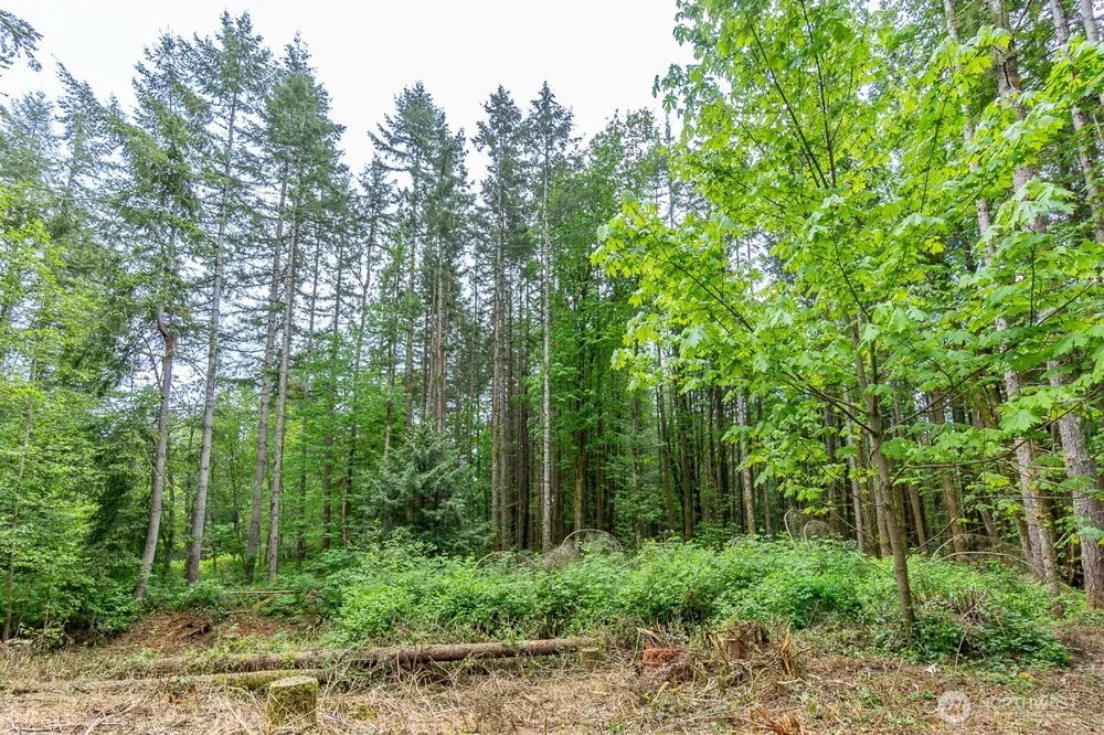 3804 129th Place NW Tulalip, WA 98271