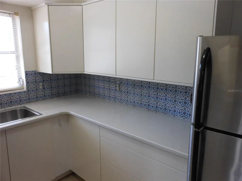 138 36TH AVENUE #206W St Petersburg, FL 33704