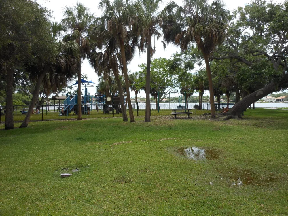 138 36TH AVENUE #206W St Petersburg, FL 33704