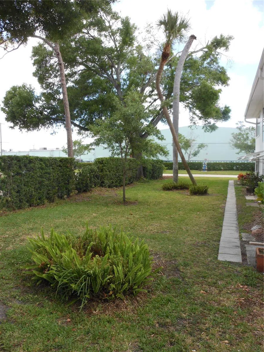 138 36TH AVENUE #206W St Petersburg, FL 33704
