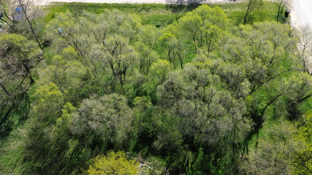 Lot #'s 15 & 16 E Loop Road Shelby, MI 49455