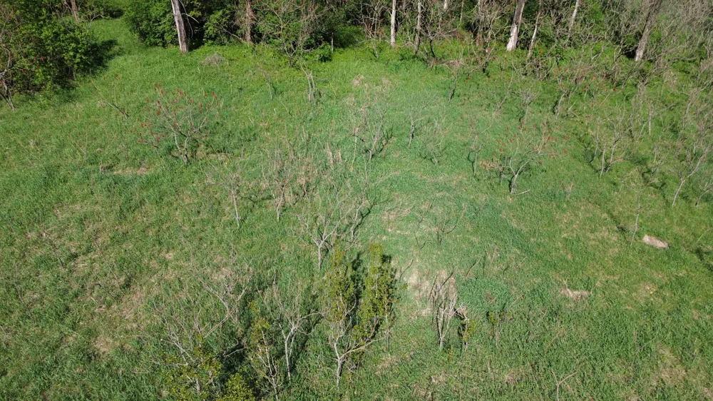 Lot #'s 15 & 16 E Loop Road Shelby, MI 49455