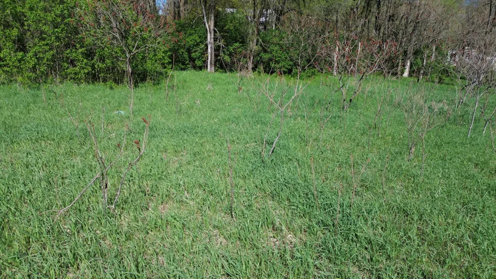 Lot #'s 15 & 16 E Loop Road Shelby, MI 49455