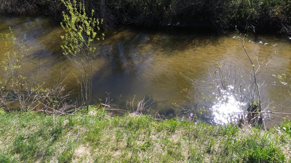 Lot #'s 15 & 16 E Loop Road Shelby, MI 49455