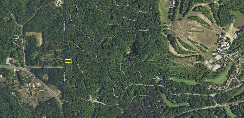 Courchevel Lane Custer Township, MI 49615