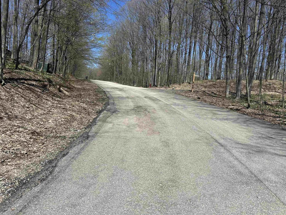 Courchevel Lane Custer Township, MI 49615