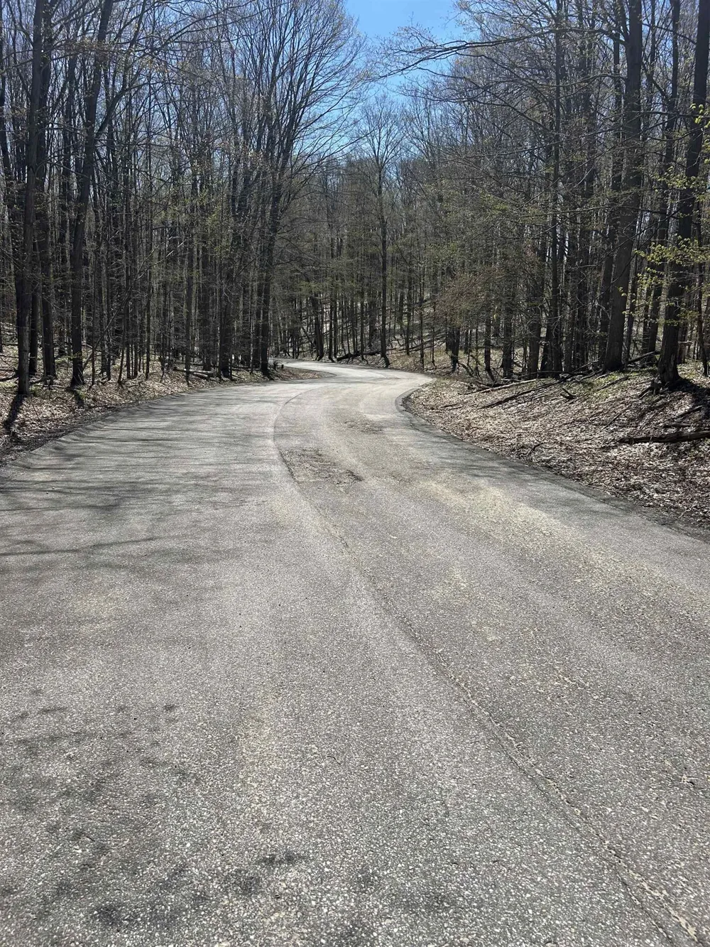 Courchevel Lane Custer Township, MI 49615