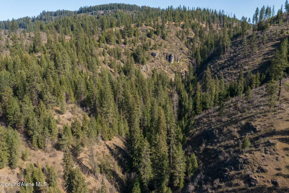 NKA 262 Ac North Side Road Calder, ID 83808