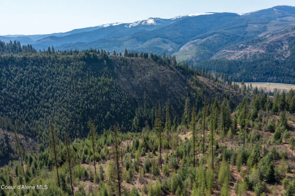 NKA 262 Ac North Side Road Calder, ID 83808
