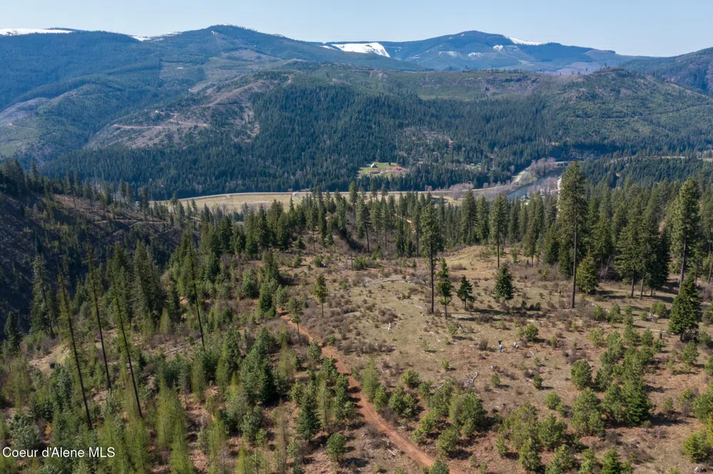 NKA 262 Ac North Side Road Calder, ID 83808