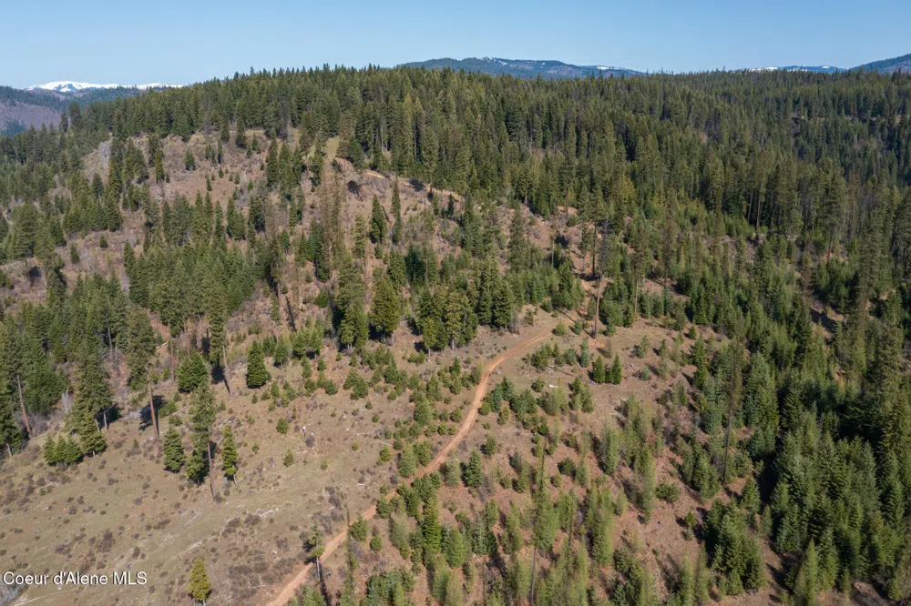 NKA 262 Ac North Side Road Calder, ID 83808