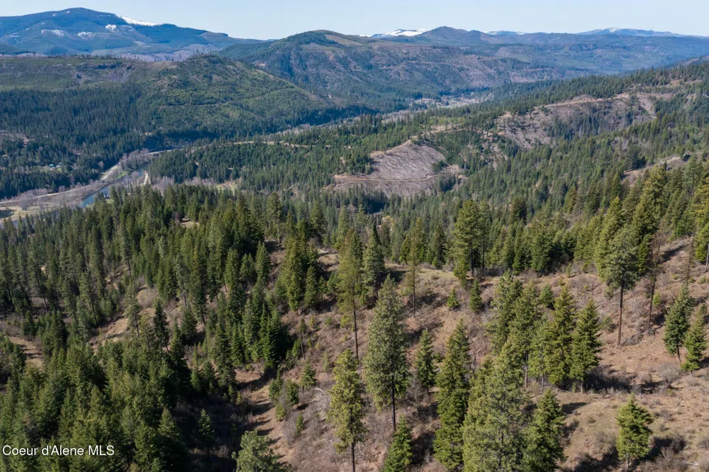NKA 262 Ac North Side Road Calder, ID 83808