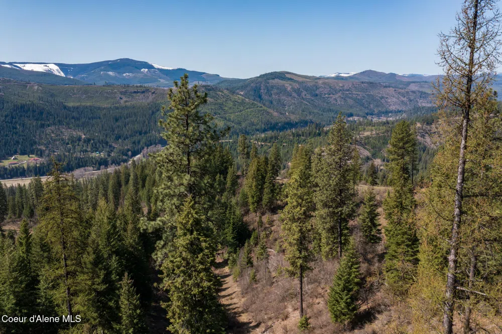 NKA 262 Ac North Side Road Calder, ID 83808