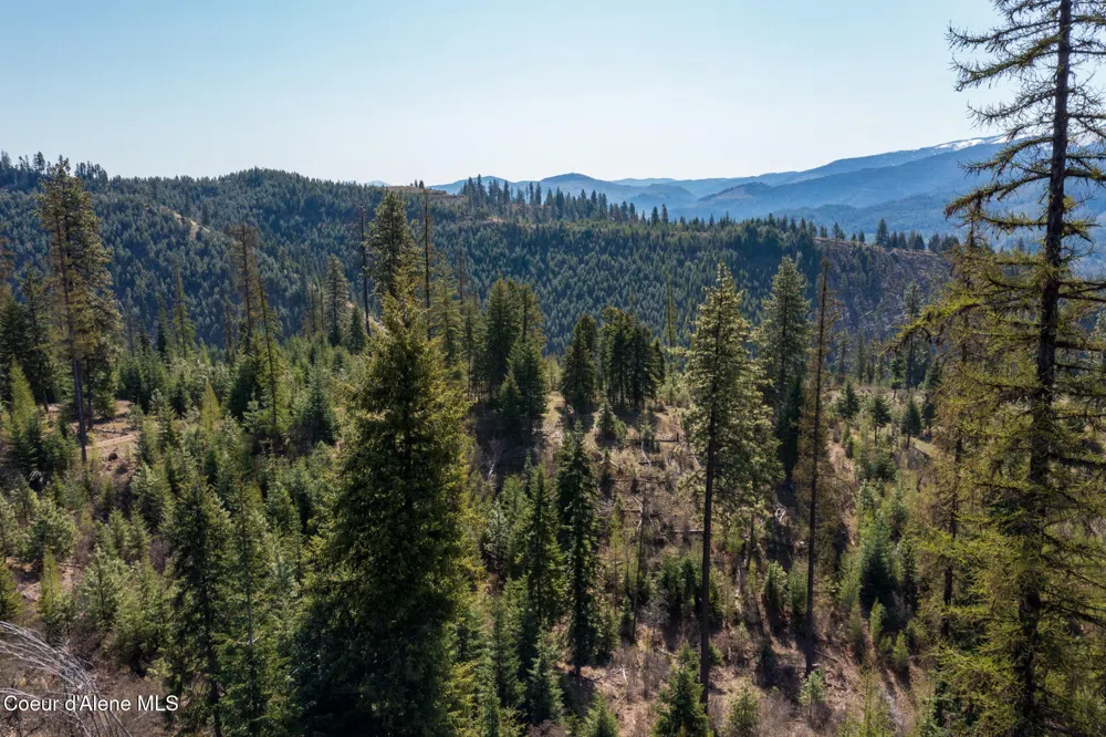 NKA 262 Ac North Side Road Calder, ID 83808