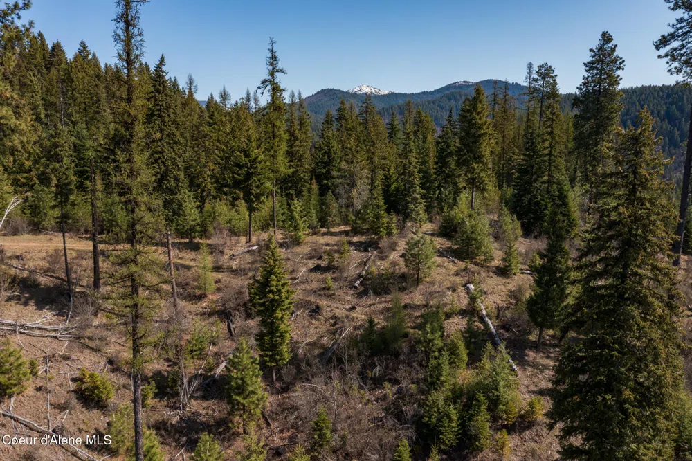 NKA 262 Ac North Side Road Calder, ID 83808