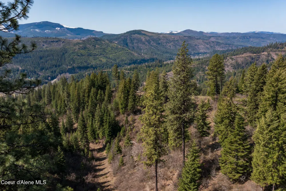 NKA 262 Ac North Side Road Calder, ID 83808