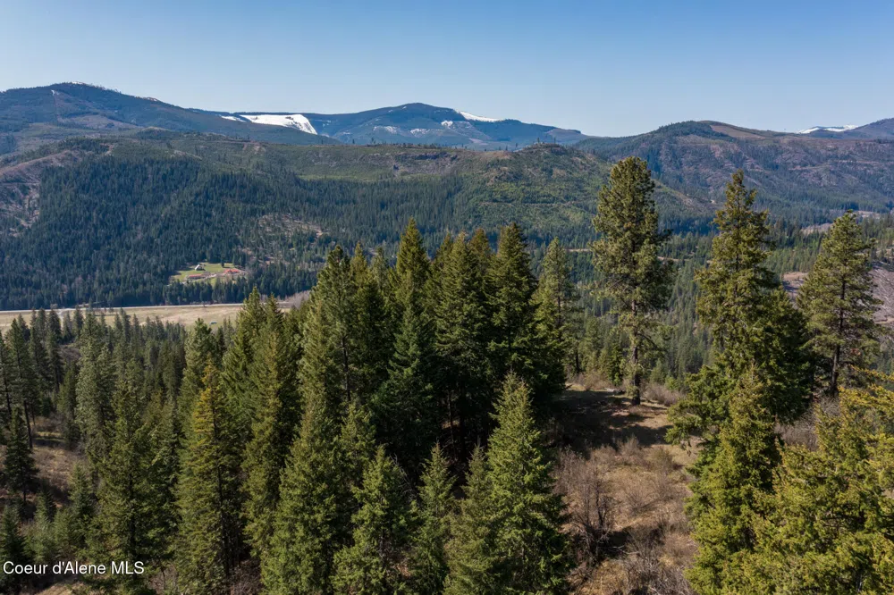 NKA 262 Ac North Side Road Calder, ID 83808
