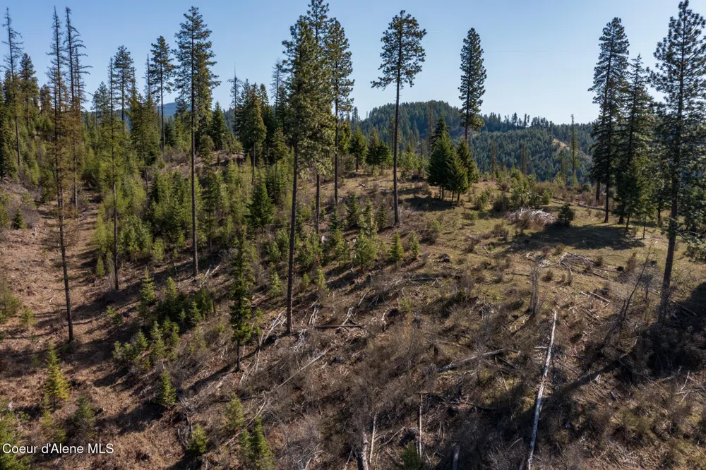 NKA 262 Ac North Side Road Calder, ID 83808