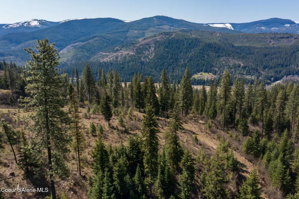 NKA 262 Ac North Side Road Calder, ID 83808