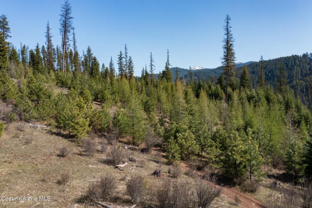 NKA 262 Ac North Side Road Calder, ID 83808