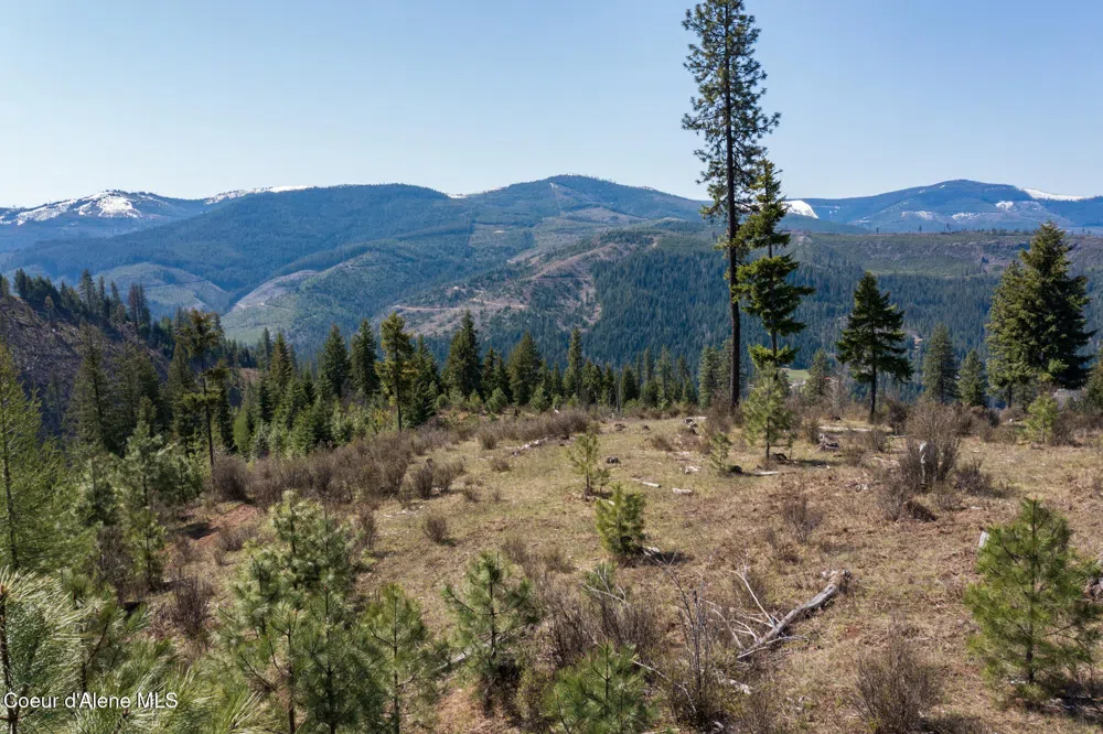NKA 262 Ac North Side Road Calder, ID 83808