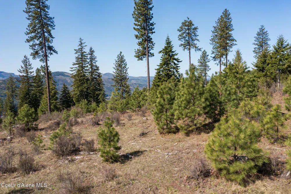 NKA 262 Ac North Side Road Calder, ID 83808