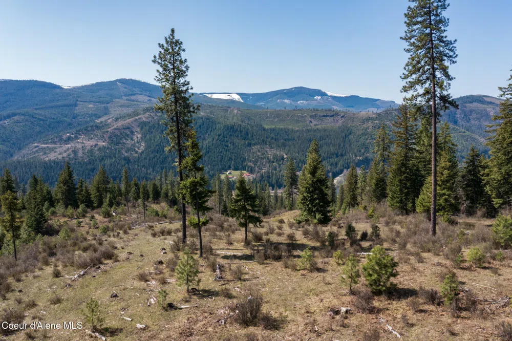 NKA 262 Ac North Side Road Calder, ID 83808