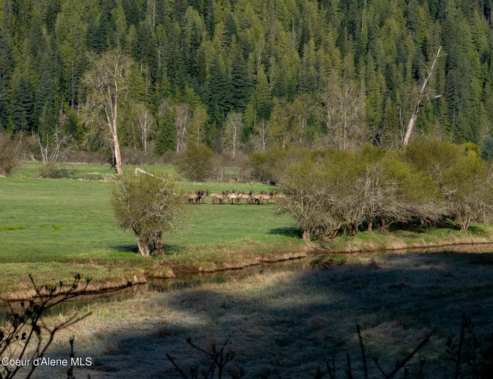 NKA 262 Ac North Side Road Calder, ID 83808