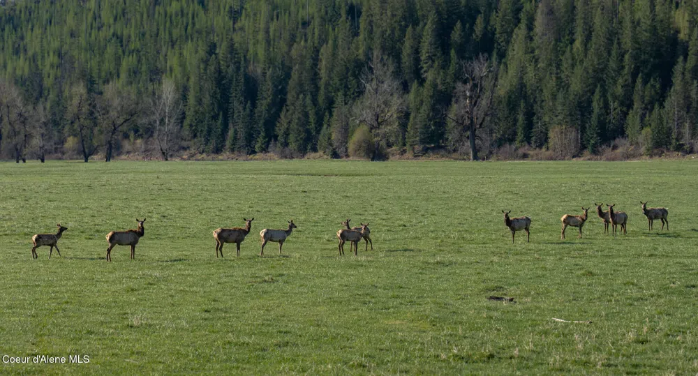 NKA 262 Ac North Side Road Calder, ID 83808