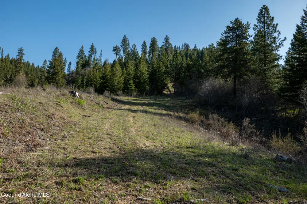 NKA 262 Ac North Side Road Calder, ID 83808