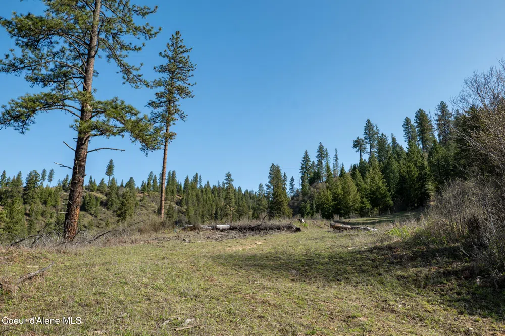 NKA 262 Ac North Side Road Calder, ID 83808
