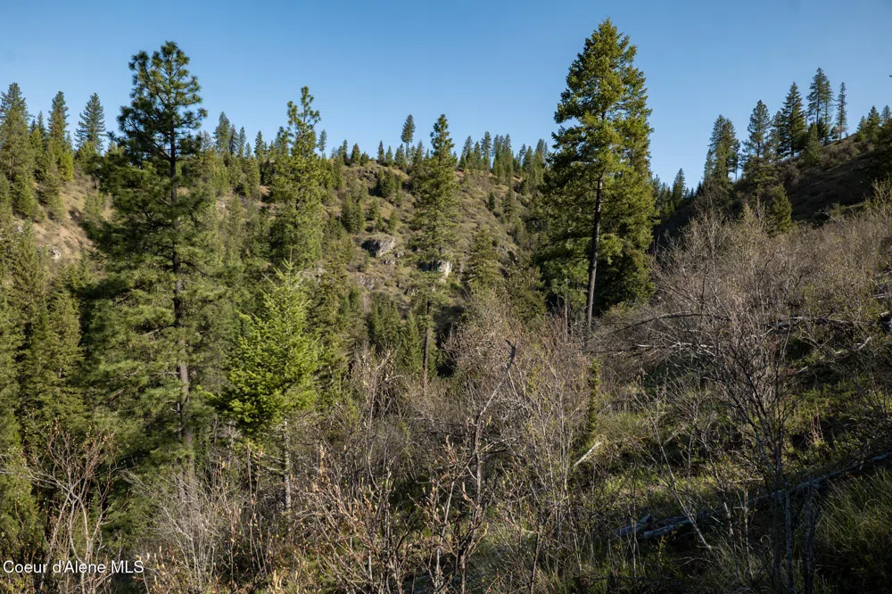 NKA 262 Ac North Side Road Calder, ID 83808