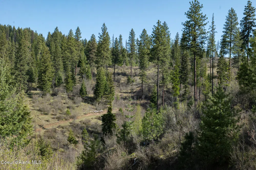 NKA 262 Ac North Side Road Calder, ID 83808