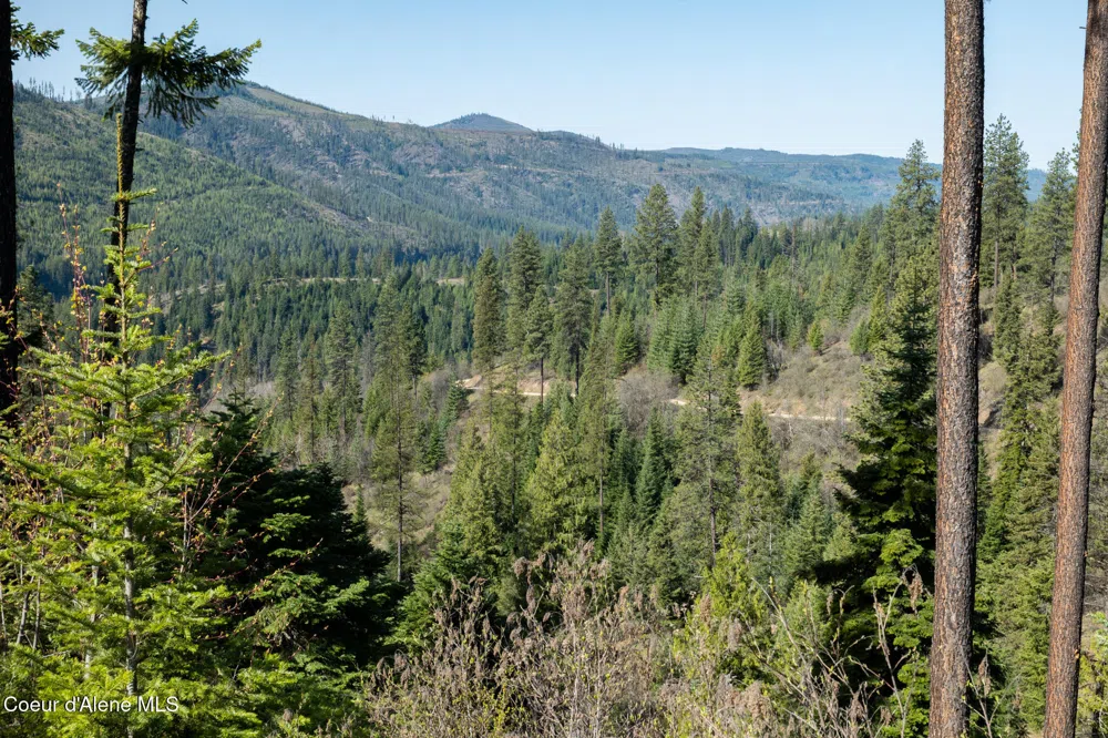 NKA 262 Ac North Side Road Calder, ID 83808