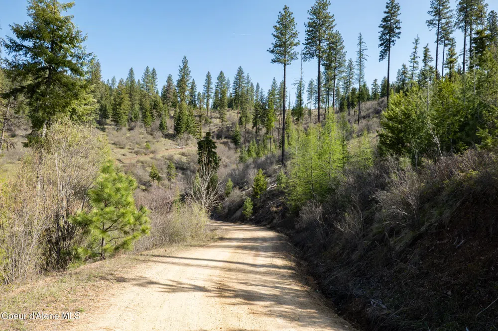 NKA 262 Ac North Side Road Calder, ID 83808